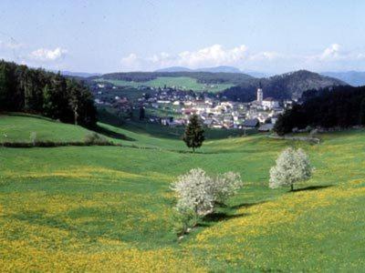 Hotel Garni Waldfrieden Castelrotto Exteriér fotografie